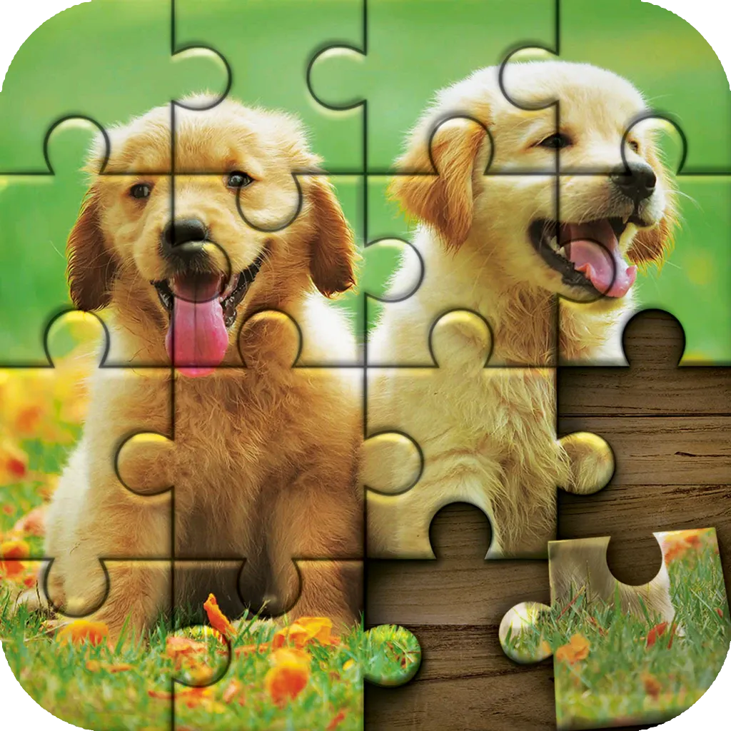 Jigsaw Puzzle